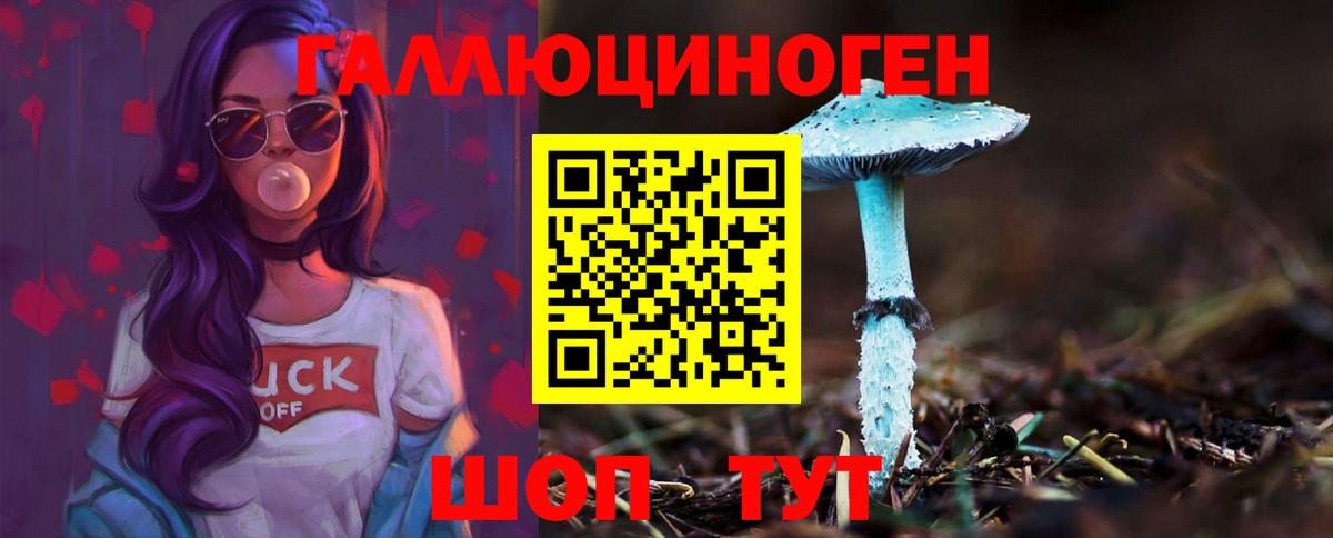 Десногорск  Галлюциногенные грибы прущие грибы  Вход с VPN 
